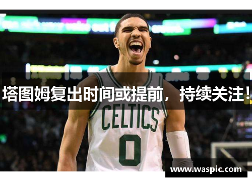 塔图姆复出时间或提前，持续关注！
